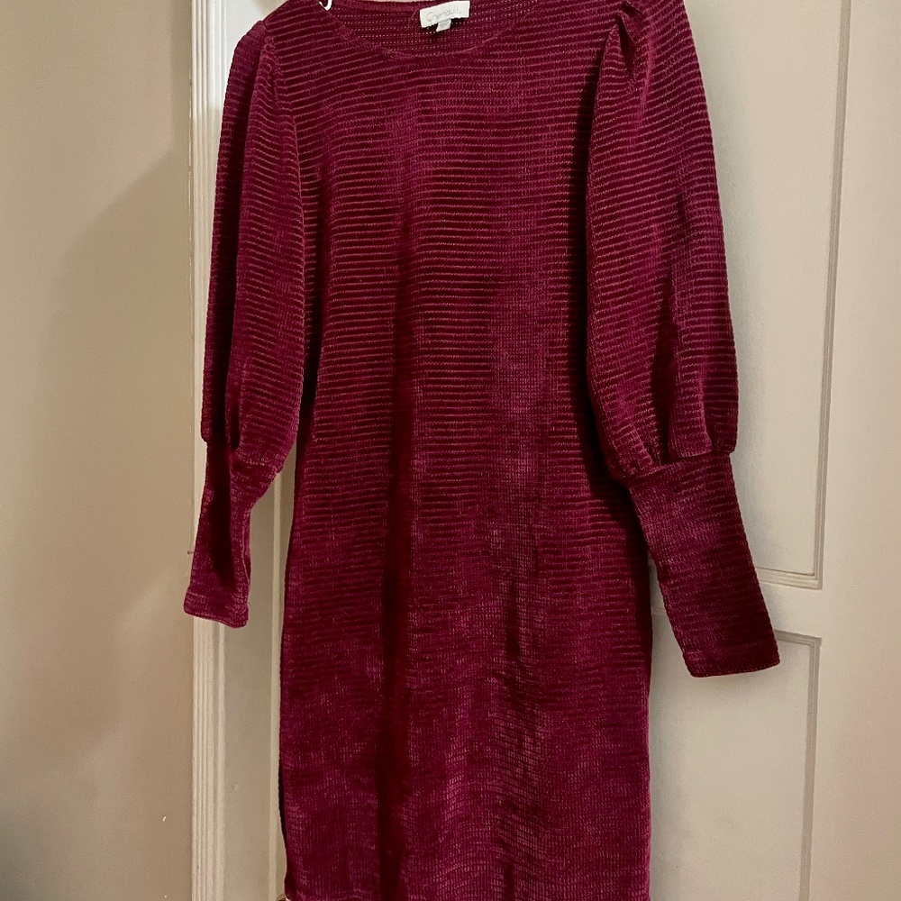 Burgundy Dress
